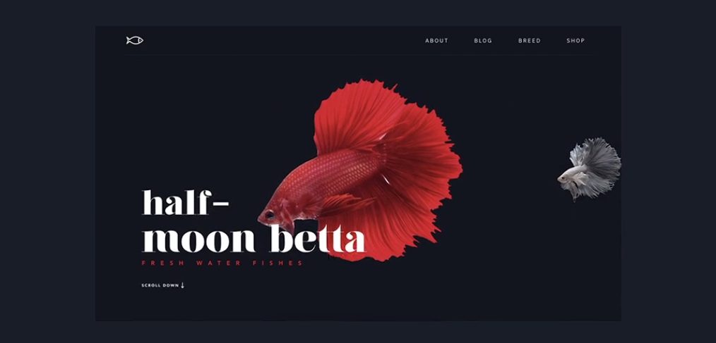 Fish XD animated landing page