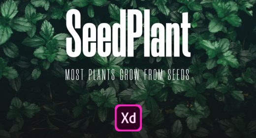 SeedPlant - Free Ecommerce XD UI kit